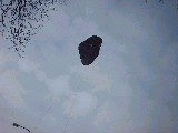 dscf0676.jpg