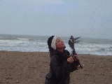 dscf0771.jpg