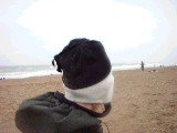 dscf0791.jpg