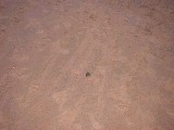 dscf0840.jpg