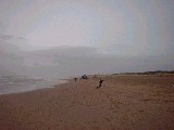 dscf0852.jpg