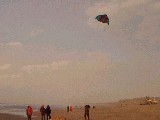 dscf0859.jpg