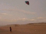 dscf0864.jpg