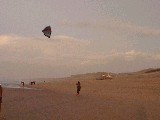 dscf0865.jpg