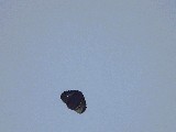 dscf0900.jpg