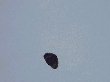 dscf0905.jpg