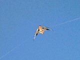 dscf2071.jpg