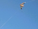 dscf2072.jpg