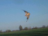 dscf2074.jpg