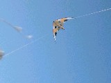 dscf2077.jpg