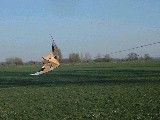dscf2081.jpg