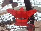 dscf2625.jpg