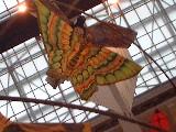 dscf2632.jpg