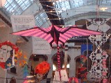 dscf2641.jpg