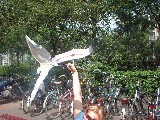 dscf2676.jpg