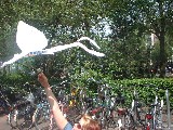 dscf2677.jpg