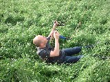 dscf3065.jpg