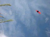dscf3079.jpg
