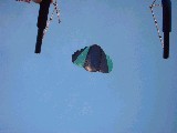 dscf3389.jpg