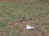 dscf1370.jpg
