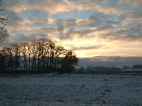 2003_0111_090950aa.jpg