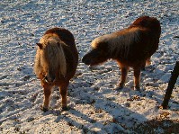 2003_0111_093416aa.jpg
