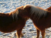 2003_0111_093442aa.jpg