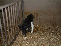 2003_0111_171346aa.jpg