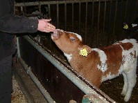 2003_0111_171354aa.jpg