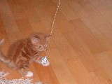 dscf2695.jpg