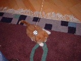 dscf2696.jpg