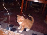 dscf2698.jpg
