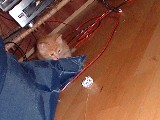 dscf2699.jpg