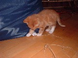 dscf2700.jpg