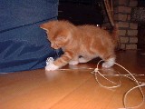 dscf2701.jpg