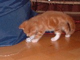 dscf2702.jpg