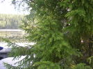 Klicken Sie auf das Bild, um es zu vergr&ouml;&szlig;ern
