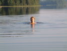 Klicken Sie auf das Bild, um es zu vergr&ouml;&szlig;ern