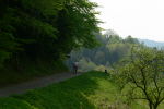 Klicken Sie auf das Bild, um es zu vergr&ouml;&szlig;ern