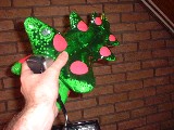 dscf0527.jpg
