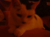 dscf0689.jpg