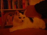 dscf0690.jpg