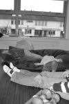Klicken Sie auf das Bild, um es zu vergr&ouml;&szlig;ern
