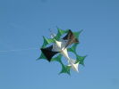 Klicken Sie auf das Bild, um es zu vergr&ouml;&szlig;ern