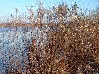 dscf0011.jpg