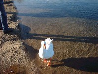 dscf0022.jpg