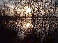 dscf0060.jpg