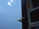 dscf3462.jpg