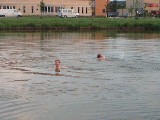 dscf3145.jpg