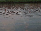 dscf3163.jpg